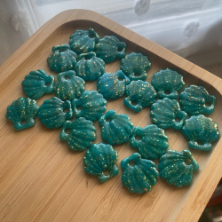 Pampilles coquillages mer